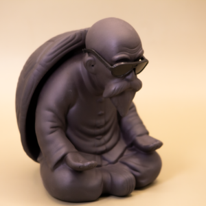 Muten Roshi Tea Pet